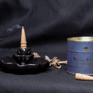 Nụ trầm hương Thanh Trà Luxury NTH11 Loại Thường 12 Năm Hộp 40 Nụ