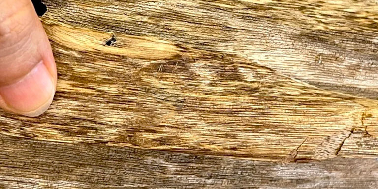 Kiểm Định Trầm Hương Liệu Có Đúng? Sự Thật Về Chứng Nhận Và Cách Đánh Giá Chất Lượng, Người Tiêu Dùng Cần Hiểu Rõ Ý Nghĩa?