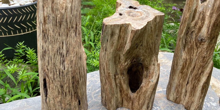 Kiểm Định Trầm Hương Liệu Có Đúng? Sự Thật Về Chứng Nhận